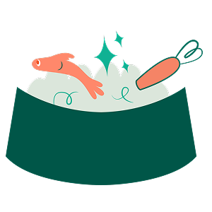Alimentação e Nutrição
